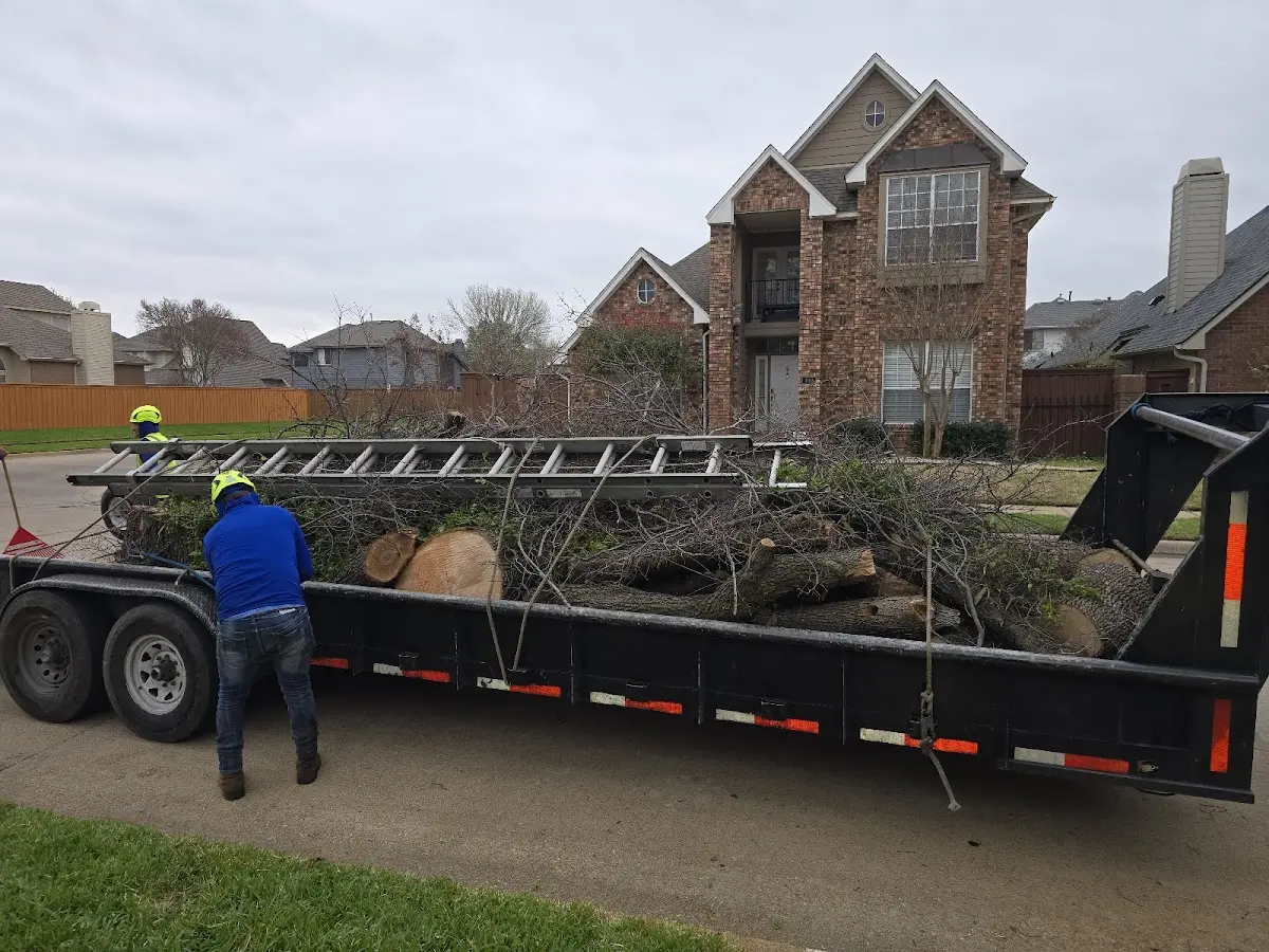 Expert Tree Pest Control with proper safety equipment in Gurley